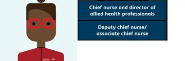 Infrographic of Nursing career development chief nurse