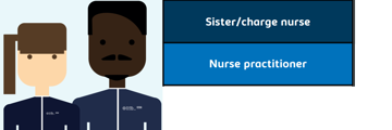 Nursing career development sister / charge nurse