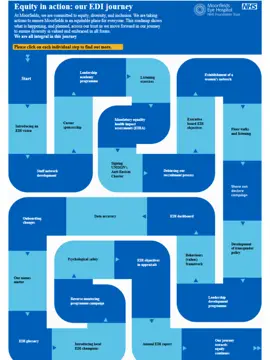 Image of EDI journey map