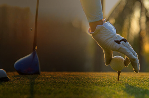 Tamasin's story photo