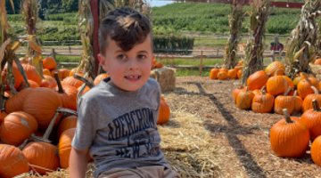 Young boy sitting on hay in a pumpkin patch